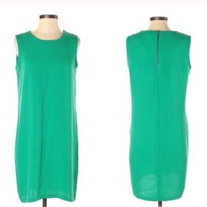✨ Adrienne Vittadini Green Shift Dress✨